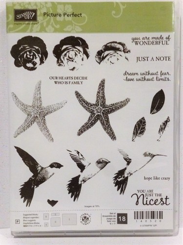 Stampin image parfait - stampin,