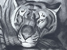 Georges Lucien GUYOT 3