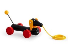 30332 - Jim Le Teckel - Chien
