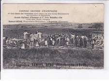 Segonzac: cognac grande champagne, 1er crû classé des charentes, Samuel Beau
