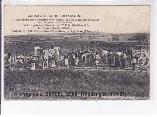 Segonzac cognac grande - cognac,