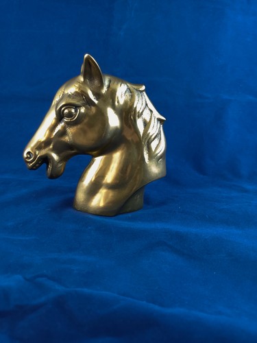 Tete cheval epreuve en - tete, de