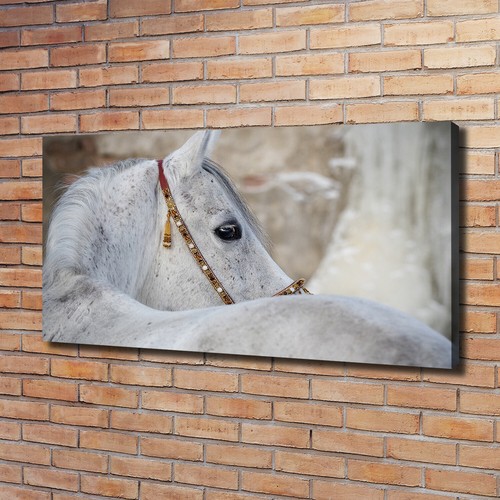 Tulup image sur toile tableau - image,