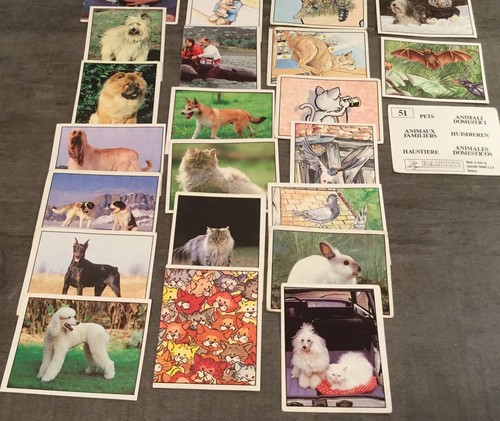 Animaux familiers 1989 lot - animaux,
