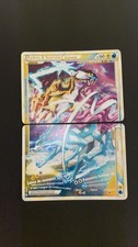 Carte Pokémon Raikou &