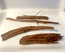 3 racines araignée 12/20cm