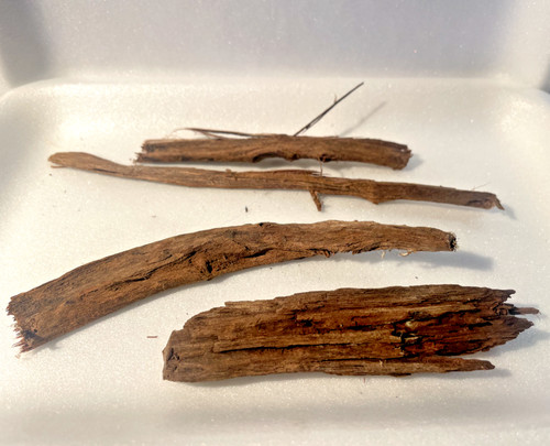 Racines araignée 20cm - 3, 12/20cm