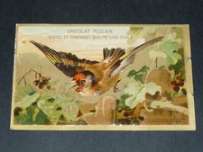 CHROMO 1885-1910 CHOCOLAT