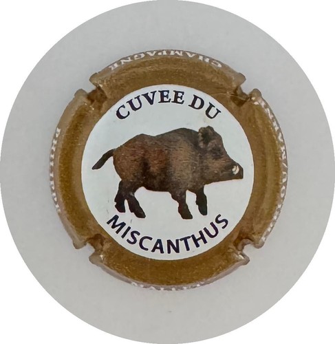Capsule champagne philippe - capsule,