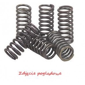 Ressorts embrayage suzuki - ressorts,