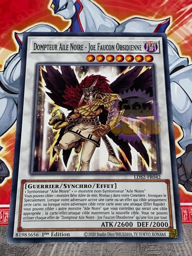 Carte dompteur aile - gi, oh