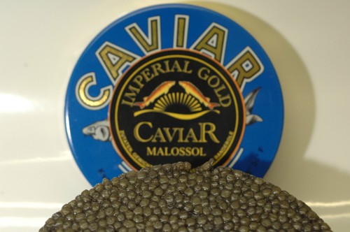500g caviar - €),