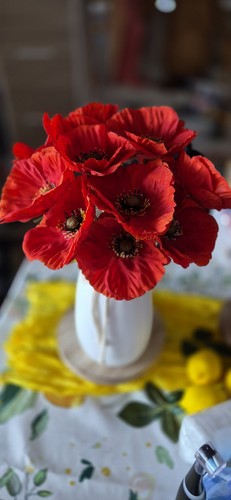 Bouquet coquelicots - 12,
