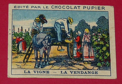 Chromo pupier 1930 - pupier, album