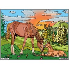 Coloriage - Chevaux - Tableau