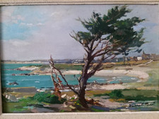 Tableau Ancien (XIX-XXèm) Peinture Huile Signé F. PERROT