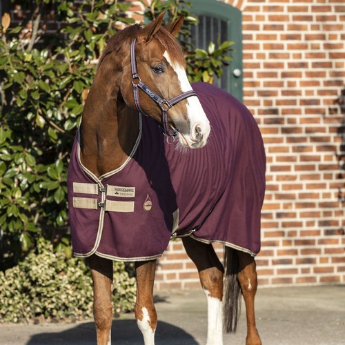 Horseware amigo stable - horseware,