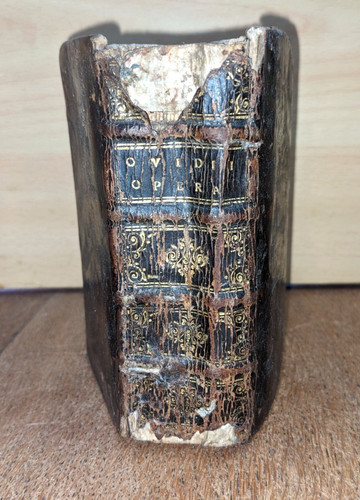 Livre ancien publii oviii - publii,