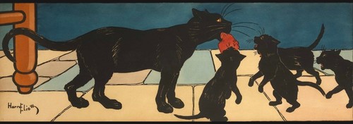Harry eliott frise la - harry,