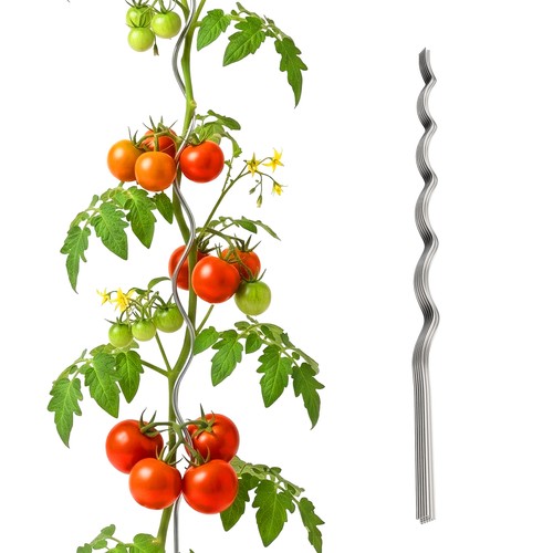 Tiges spirales pour tomates