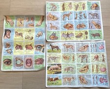 3 Anciennes affiches / planche scolaire Anatomie & Anatomie animale 