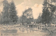 MARNEFFE - Pêche à l'étang