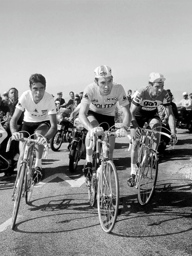 Photo luis ocaña eddy merckx - photo, ocaña,