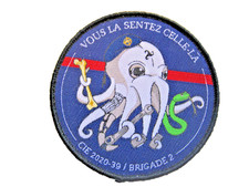 ECUSSON DES COMMANDOS DE L'AIR