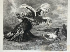 Albert cuyp gravure eau - eau, forte