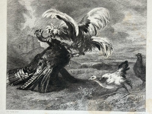 Albert cuyp gravure eau forte - gravure,