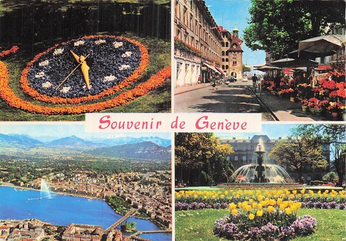 Suisse geneve horloge - suisse, fleurie