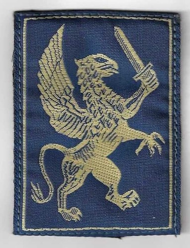 Insigne tissu patch militaire - insigne,