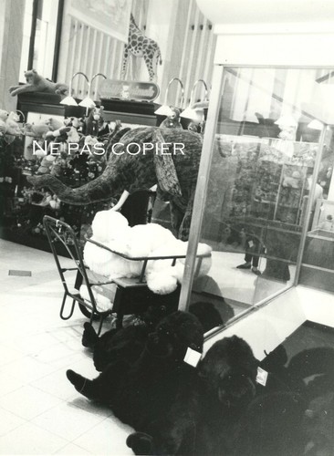 New york 1990 magasin - new-york,