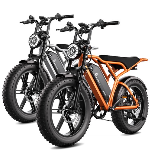 Tst fat tire - 20", bike