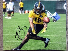 Bourgeon De Dupree Débutant