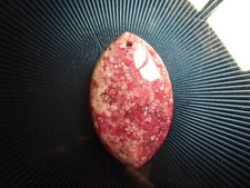 Pendentif en corail fossile