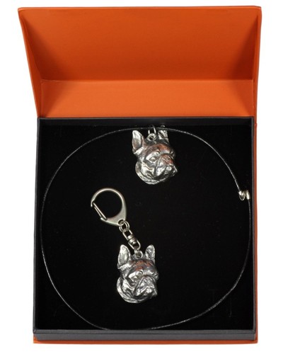 Boston terrier set the dog - set,