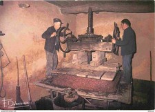 Metiers - Paysans - Vieux Pressoir - Travail du Vin - CPM - Voir Scans Recto-Ver