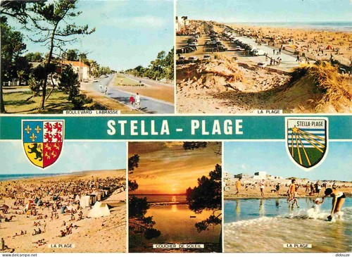 Carte postale stella - postale,