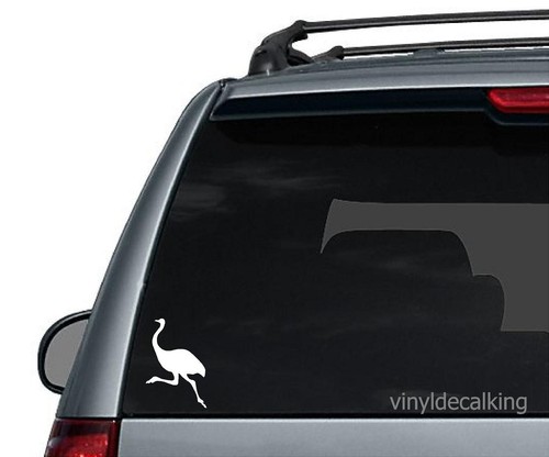 Ostrich decal vinyl truck - decal,,