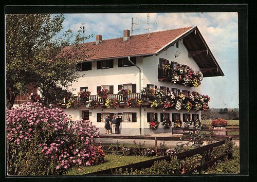 Carte postale prien - postale, am