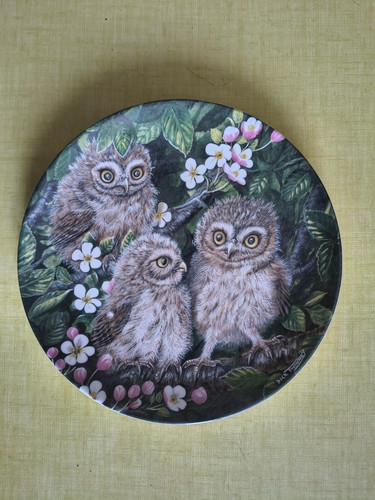 Assiette the baby owls - assiette,