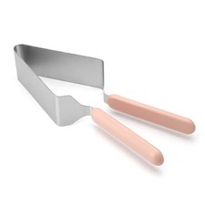 Pelle à Tarte en acier