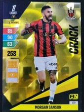 Carte PANINI Adrenalyn XL