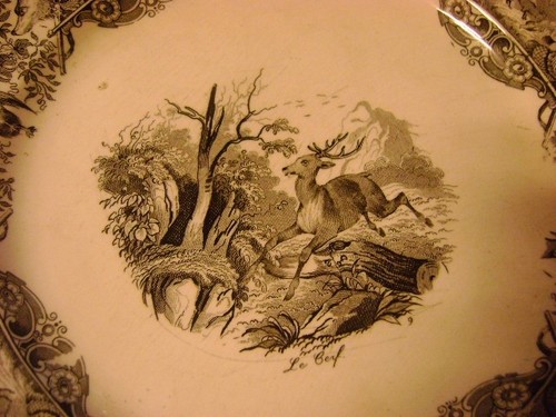 Assiette decorative theme - decorative,