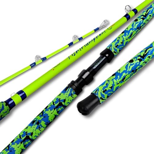 Catfish fishing rods 1 - fishing, rods,