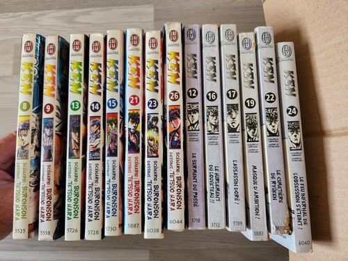 Lot manga ken survivant - 14, le