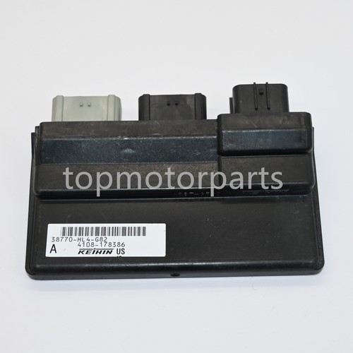 Oem pgm unit - fi, module