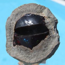 Minéraux Précieux Opale