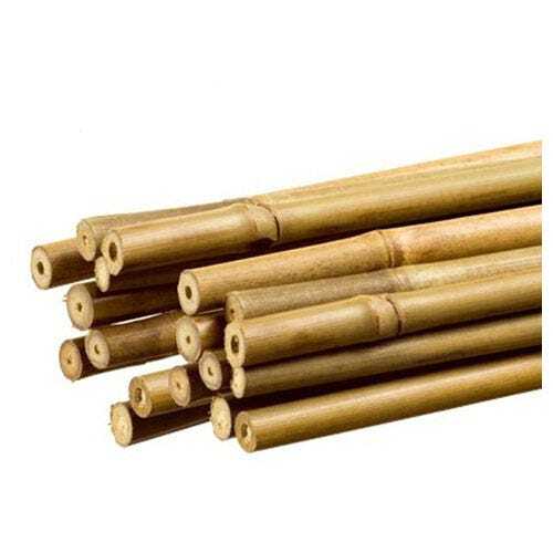 20x tuteurs tiges de - 20x, bambou